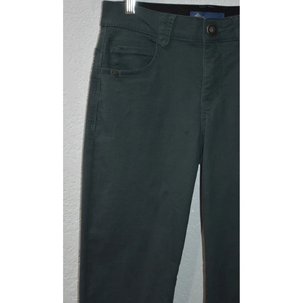 Democracy Absolution Straight Leg Pants 2P Sage/teal Green B1560VMX229 Petite